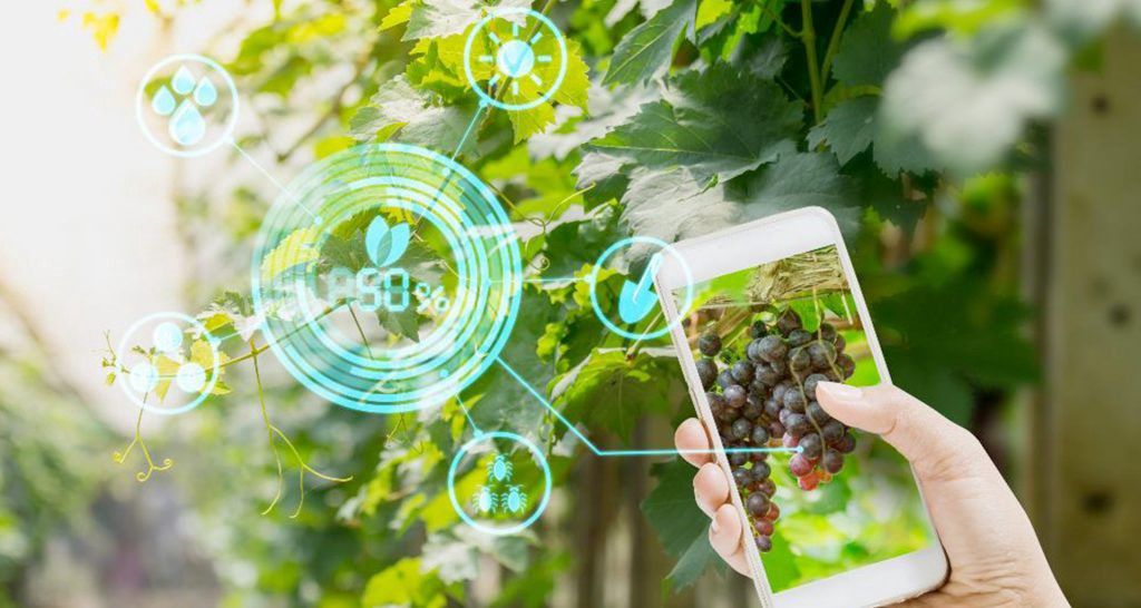 AI and data science in agriculture