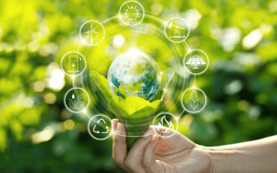 Sustainability and data analytics in the retail industry